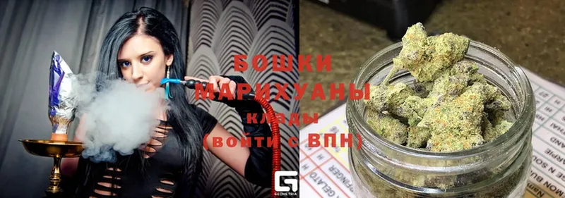 купить  цена  Прокопьевск  Конопля SATIVA & INDICA 